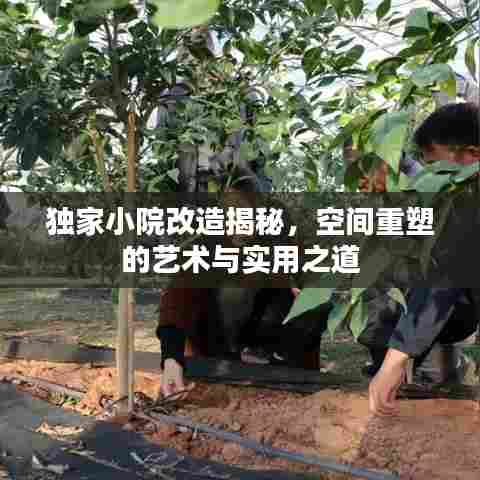 独家小院改造揭秘,空间重塑的艺术与实用之道