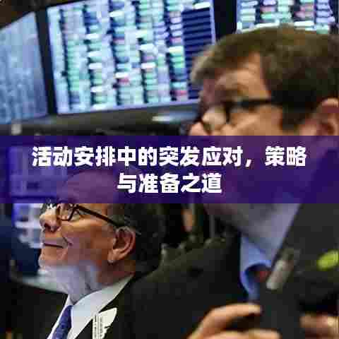 活动安排中的突发应对,策略与准备之道