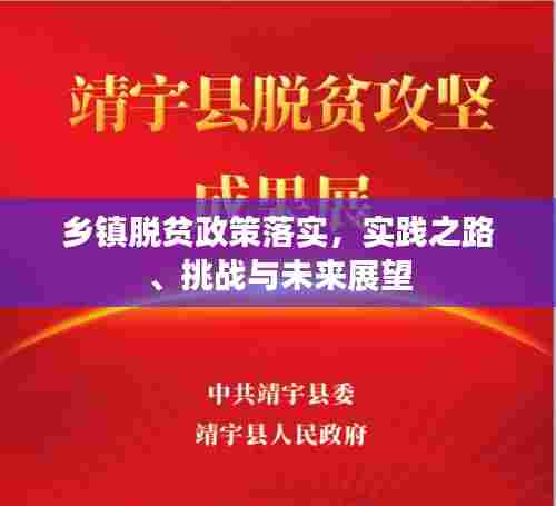 乡镇脱贫政策落实，实践之路、挑战与未来展望