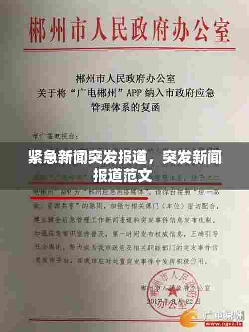 紧急新闻突发报道,突发新闻报道范文