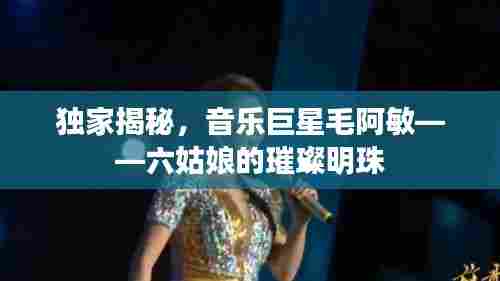 独家揭秘,音乐巨星毛阿敏——六姑娘的璀璨明珠