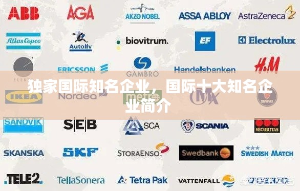 独家国际知名企业，国际十大知名企业简介 