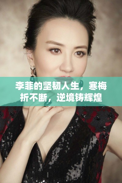 李菲的坚韧人生,寒梅折不断,逆境铸辉煌