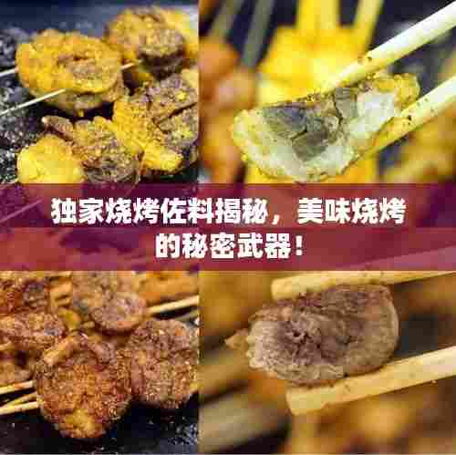 独家烧烤佐料揭秘，美味烧烤的秘密武器！