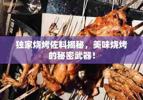 独家烧烤佐料揭秘,美味烧烤的秘密武器!