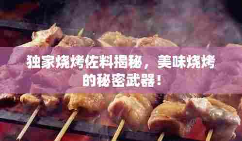 独家烧烤佐料揭秘,美味烧烤的秘密武器!