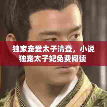 独家宠爱太子清登，小说独宠太子妃免费阅读 