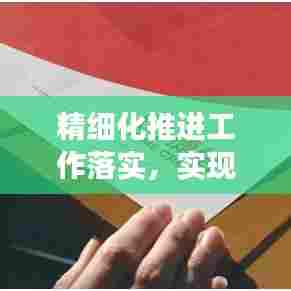 精细化推进工作落实,实现效率与质量的双重提升保障