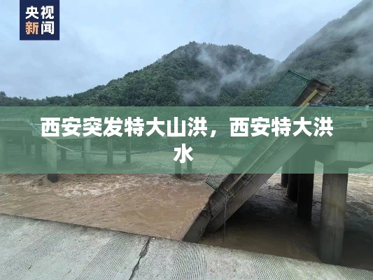 西安突发特大山洪,西安特大洪水