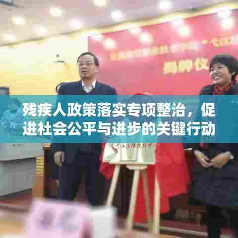 残疾人政策落实专项整治,促进社会公平与进步的关键行动