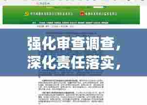 强化审查调查，深化责任落实，打造廉洁政务新局面