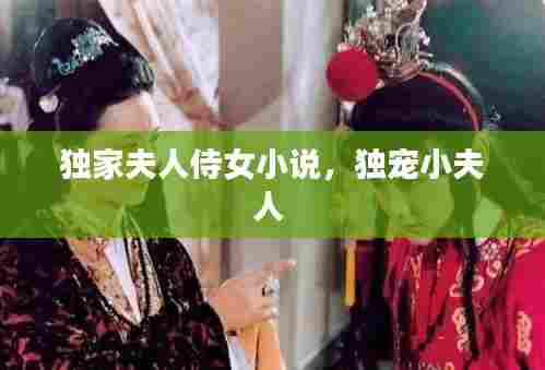 独家夫人侍女小说,独宠小夫人