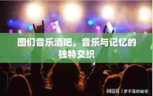 不求甚解 第6页