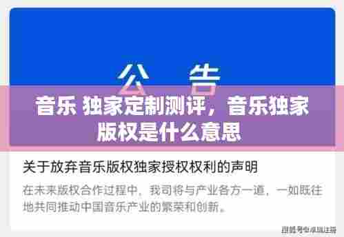 音乐 独家定制测评，音乐独家版权是什么意思 
