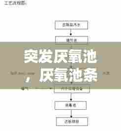 突发厌氧池,厌氧池条件