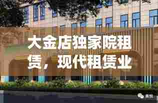 大金店独家院租赁,现代租赁业务的独特魅力探索