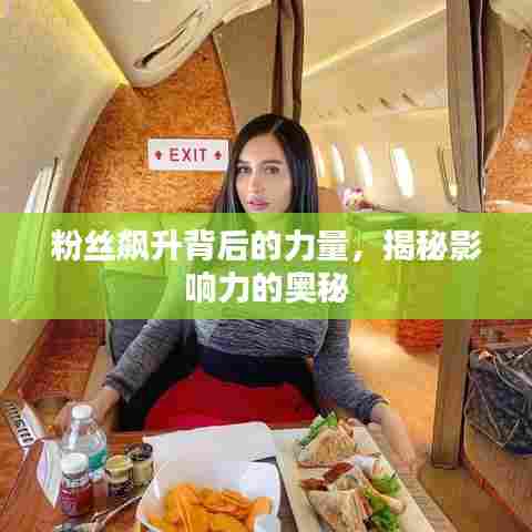 粉丝飙升背后的力量,揭秘影响力的奥秘