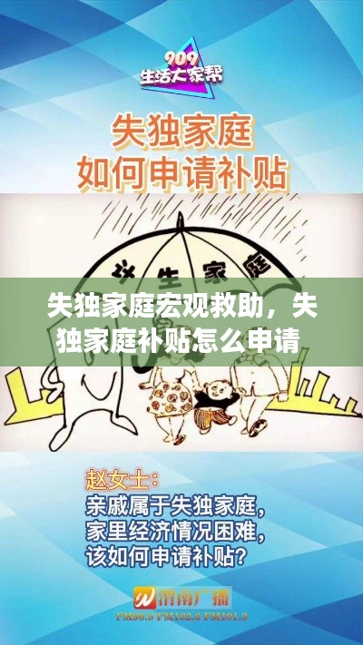 失独家庭宏观救助，失独家庭补贴怎么申请 