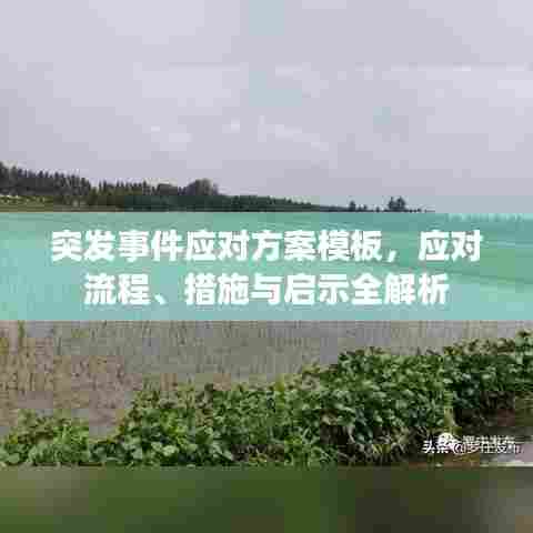突发事件应对方案模板,应对流程、措施与启示全解析