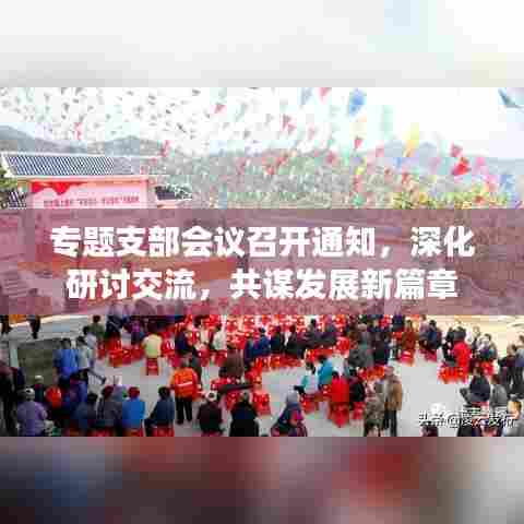 专题支部会议召开通知，深化研讨交流，共谋发展新篇章