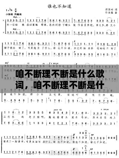 咱不断理不断是什么歌词,咱不断理不断是什么歌词
