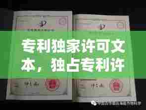 专利独家许可文本，独占专利许可 