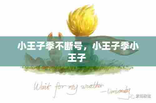 小王子季不断号，小王子季小王子 