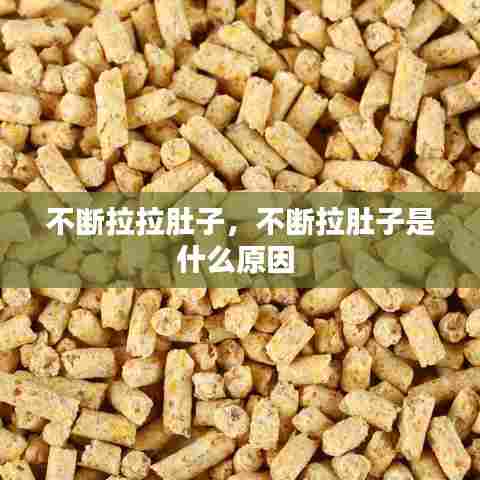 不断拉拉肚子,不断拉肚子是什么原因