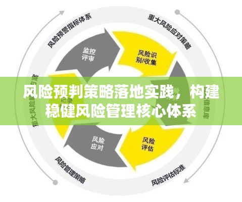 风险预判策略落地实践,构建稳健风险管理核心体系