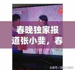 春晚独家报道张小斐，春晚张小斐简介 