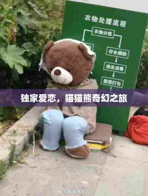 独家爱恋，猫猫熊奇幻之旅