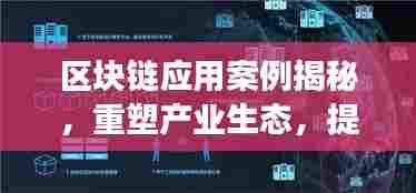 区块链应用案例揭秘，重塑产业生态，提升社会效率革新之路