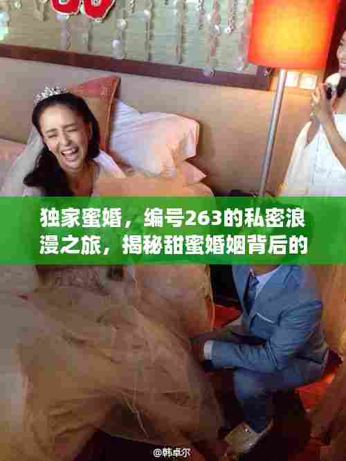独家蜜婚，编号263的私密浪漫之旅，揭秘甜蜜婚姻背后的故事