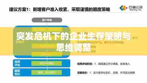 突发危机下的企业生存策略与思维调整