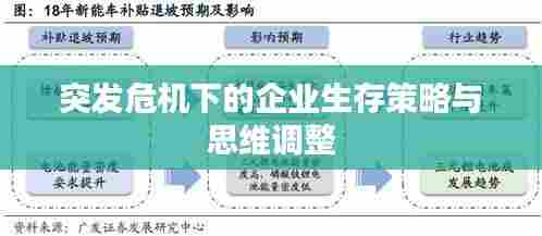 突发危机下的企业生存策略与思维调整