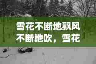 雪花不断地飘风不断地吹，雪花继续飘 