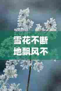 雪花不断地飘风不断地吹,雪花继续飘