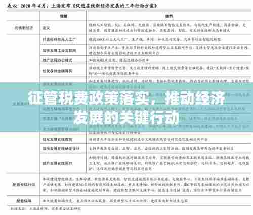 征管税费政策落实，推动经济发展的关键行动