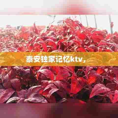 泰安独家记忆ktv,