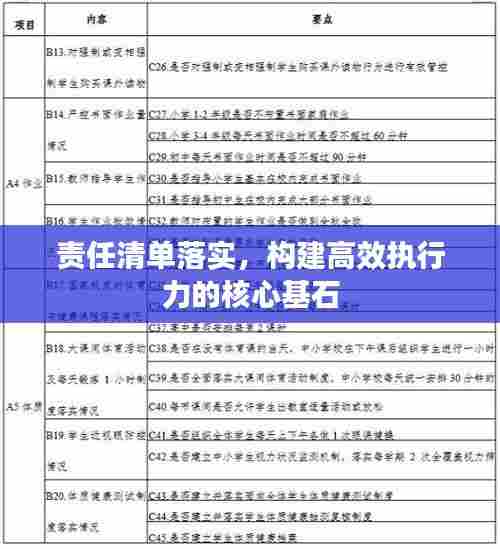 责任清单落实，构建高效执行力的核心基石