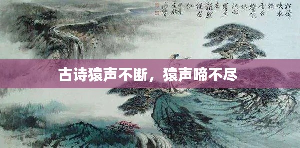 古诗猿声不断，猿声啼不尽 