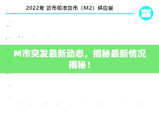 M市突发最新动态，揭秘最新情况揭秘！
