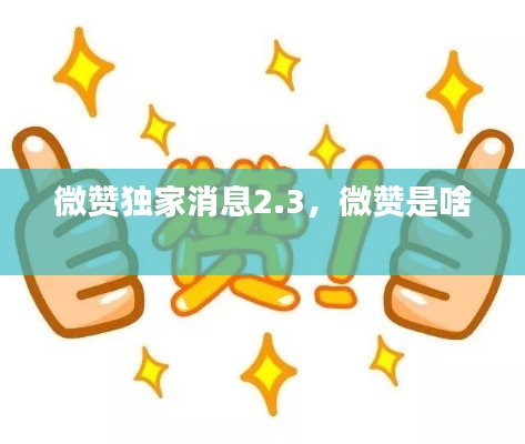 微赞独家消息2.3，微赞是啥 