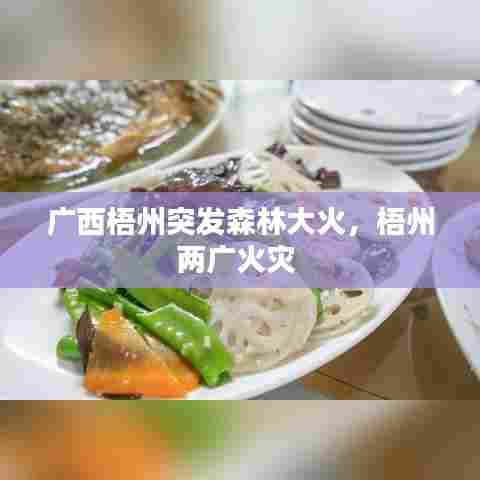 广西梧州突发森林大火,梧州两广火灾