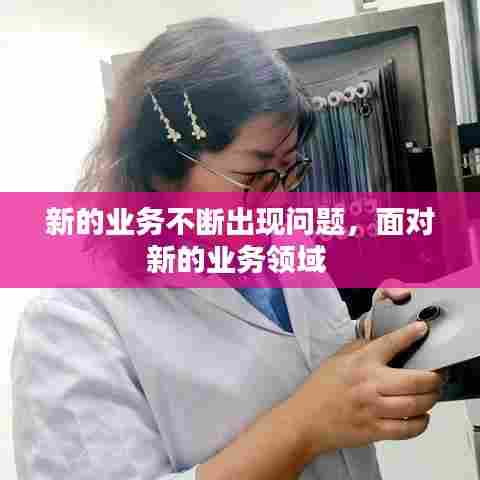 新的业务不断出现问题，面对新的业务领域 
