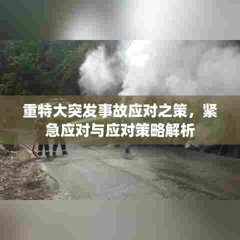 重特大突发事故应对之策,紧急应对与应对策略解析