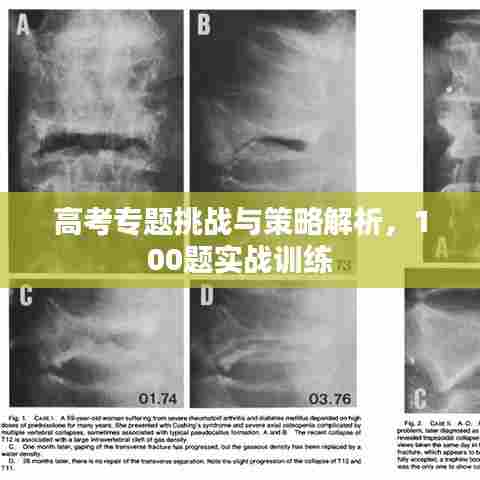 高考专题挑战与策略解析，100题实战训练