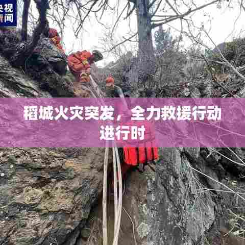 首鼠两端 第6页