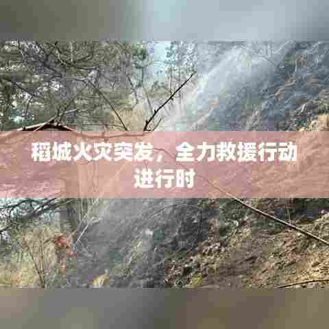 稻城火灾突发,全力救援行动进行时