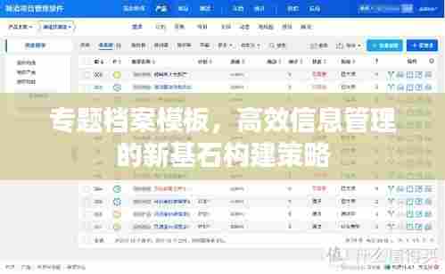 专题档案模板，高效信息管理的新基石构建策略